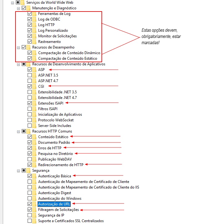 Selecionar opções IIS